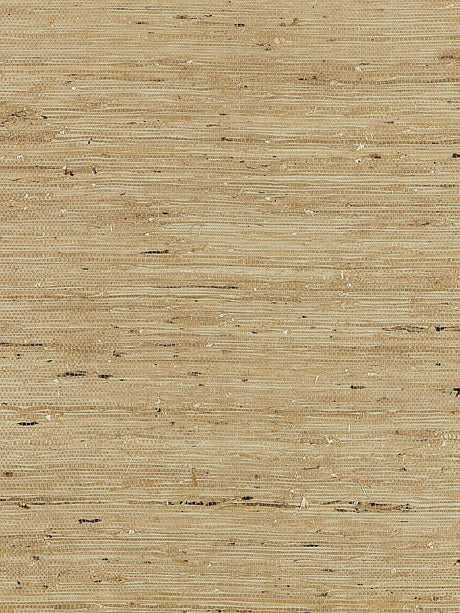 Scalamandre Arrowroot Weave Sage Wallpaper