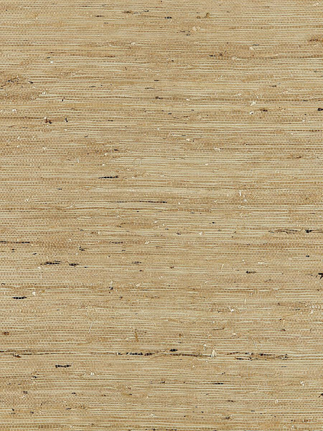 Scalamandre Arrowroot Weave Sage Wallpaper