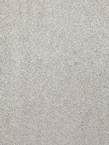 Scalamandre Metallic Mica Matte Silver Wallpaper