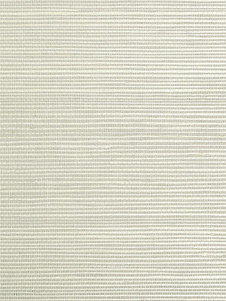 Scalamandre Sisal Pewter Wallpaper