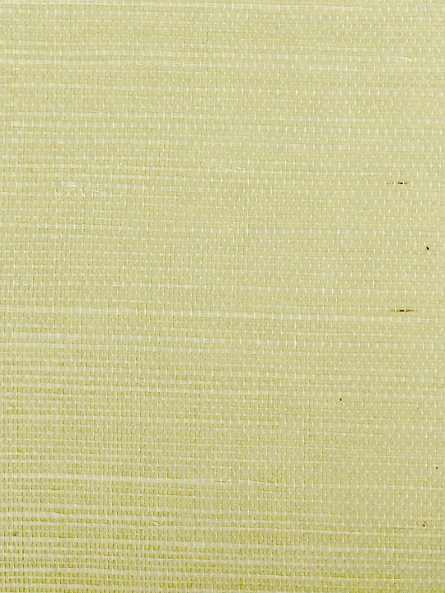 Scalamandre Sisal Spring Wallpaper