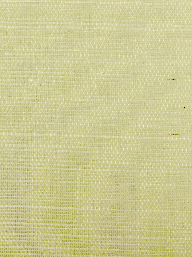 Scalamandre Sisal Spring Wallpaper