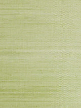 Scalamandre Sisal Leaf Wallpaper
