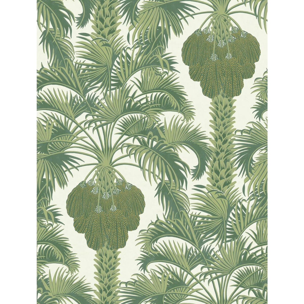 Cole & Son HOLLYWOOD PALM LEAF GREEN Wallpaper