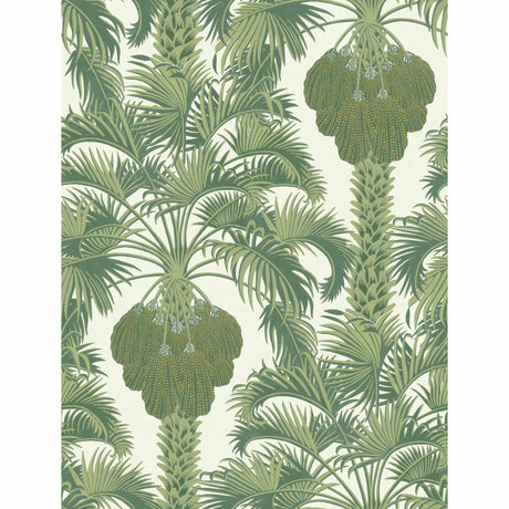 Cole & Son HOLLYWOOD PALM LEAF GREEN Wallpaper