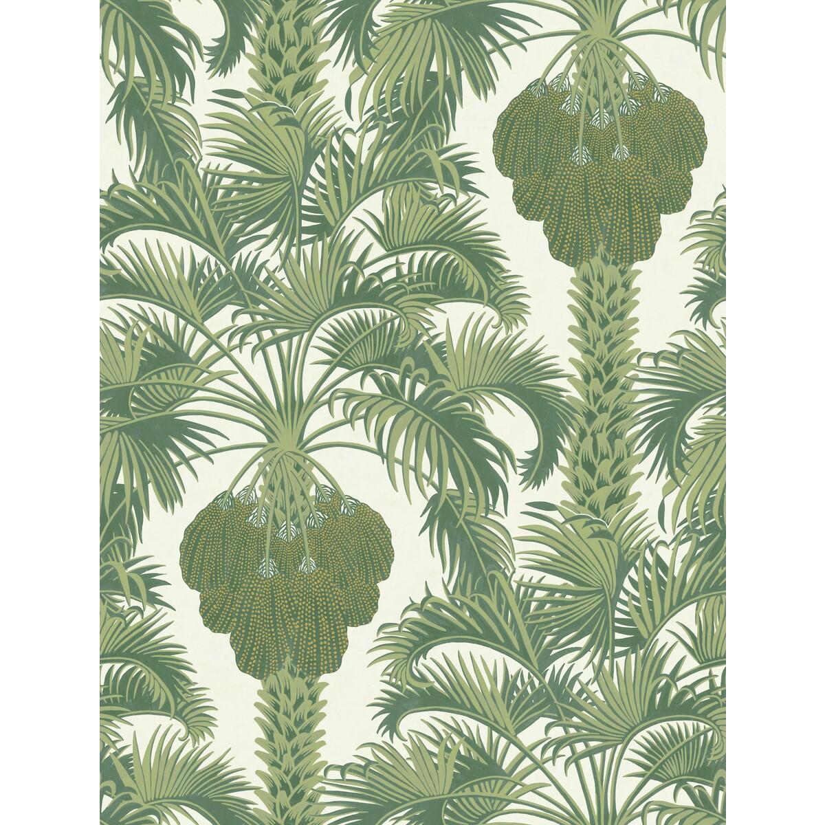 Cole & Son Hollywood Palm Leaf Green Wallpaper