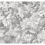 Cole & Son ROYAL FERNERY WARM GREY Wallpaper