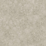 Cole & Son PATINA HAZE WARM GILVER Wallpaper