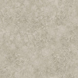 Cole & Son Patina Haze Warm Gilver Wallpaper