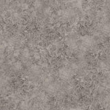 Cole & Son PATINA HAZE TAUPE Wallpaper