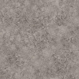 Cole & Son PATINA HAZE TAUPE Wallpaper