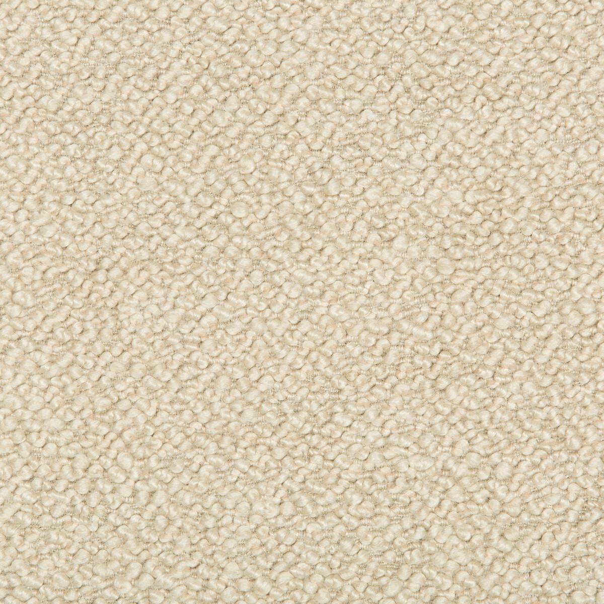 Kravet Babbit Cashew Fabric
