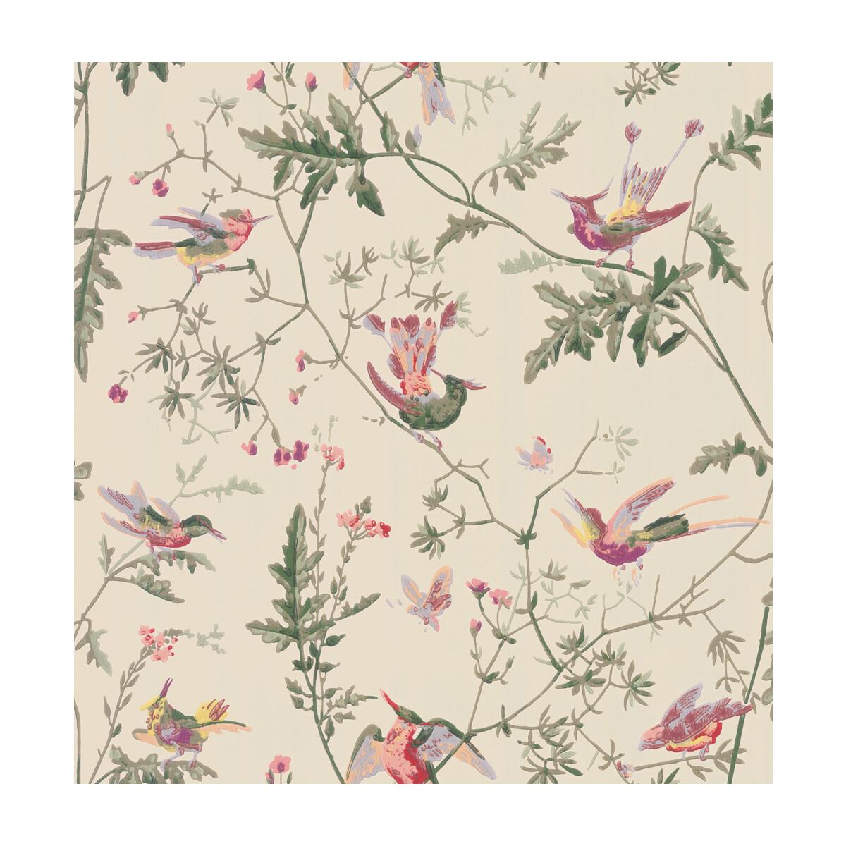 Cole & Son Hummingbirds Original Multi-Colour Wallpaper