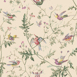 Cole & Son HUMMINGBIRDS ORIGINAL MULTI-COLOUR Wallpaper