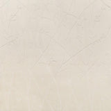 Kravet RAMUS IVORY Fabric
