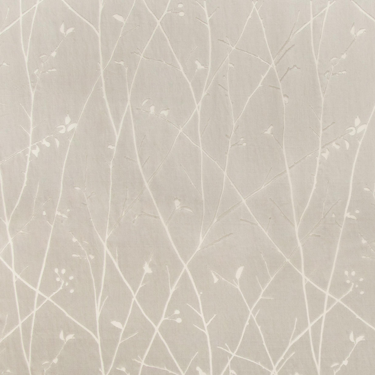 Kravet RAMUS SILVER Drapery Fabric