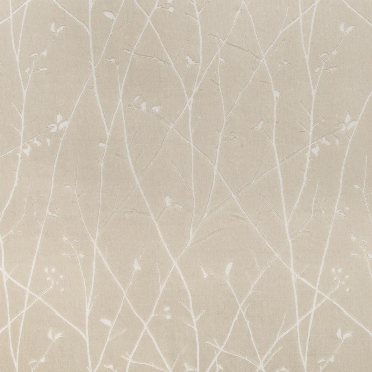 Kravet RAMUS QUARTZ Drapery Fabric