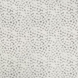 Kravet OLIVOS GRIS Drapery Fabric