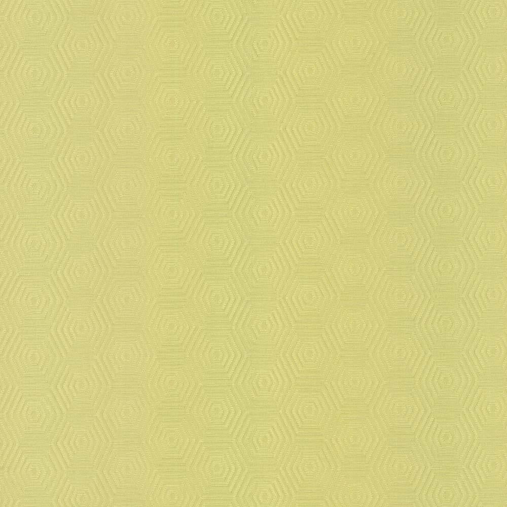 Kasmir Vault Wheatgrass Fabric
