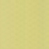 Kasmir Vault Wheatgrass Fabric