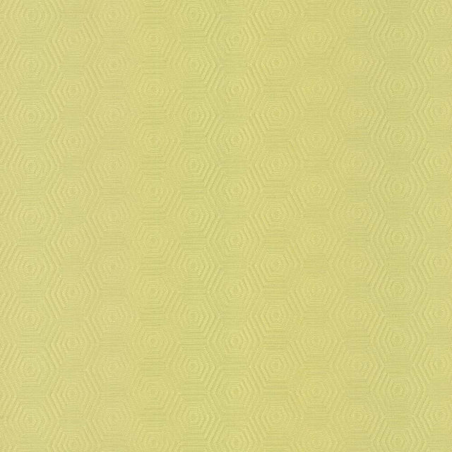 Kasmir Vault Wheatgrass Fabric