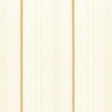 Kasmir Venturi Stripe Natural Fabric