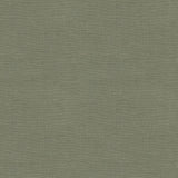 Lee Jofa DUBLIN LINEN DOVE Fabric