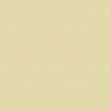 Kravet SO CHIC ALMOND Fabric