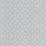Kasmir Vichy Fog Fabric