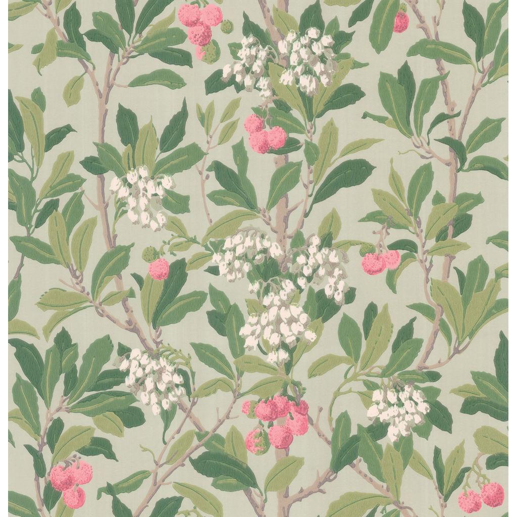 Cole & Son STRAWBERRY TREE PINK & DUCK EGG Wallpaper