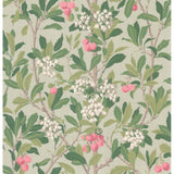 Cole & Son STRAWBERRY TREE PINK & DUCK EGG Wallpaper