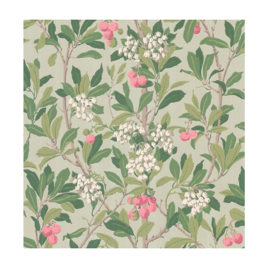 Cole & Son STRAWBERRY TREE PINK & DUCK EGG Wallpaper