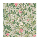 Cole & Son Strawberry Tree Pink & Duck Egg Wallpaper