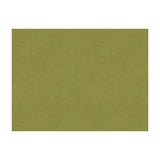 Kravet 33125 303 Fabric