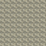 Kravet PALENCIA SILVER Upholstery Fabric