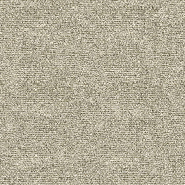 Kravet DREAM WEAVER STERLING Upholstery Fabric