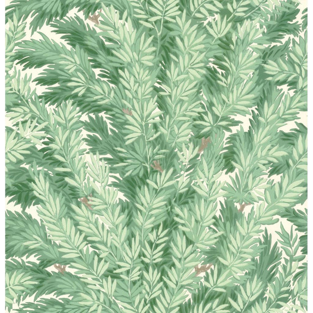 Cole & Son FLORENCECOURT VERILLION Wallpaper
