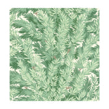 Cole & Son Florencecourt Verillion Wallpaper