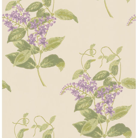 Cole & Son MADRAS VIOLET OLIVE & LAVENDER Wallpaper