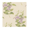 Cole & Son Madras Violet Olive & Lavender Wallpaper