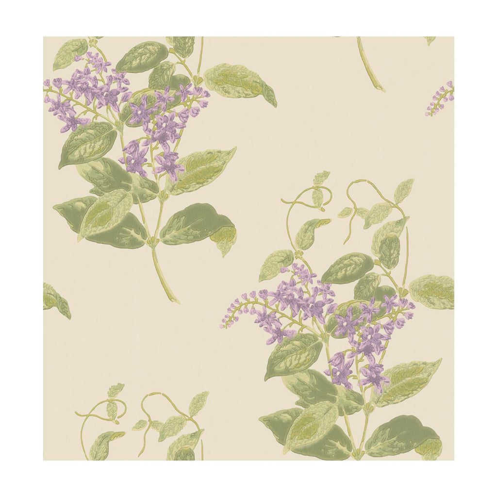 Cole & Son Madras Violet Olive & Lavender Wallpaper