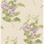 Cole & Son MADRAS VIOLET OLIVE & LAVENDER Wallpaper