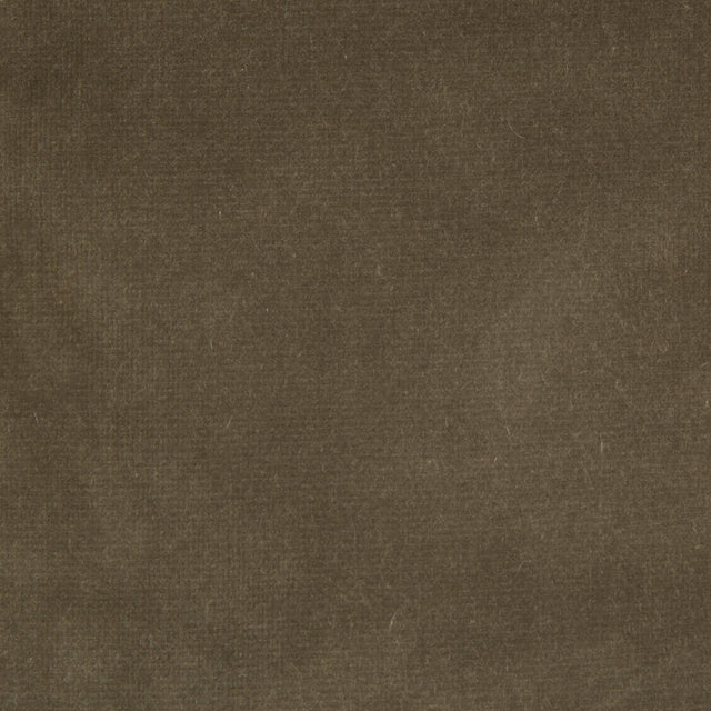 Kravet ENDURE SOURIS Upholstery Fabric