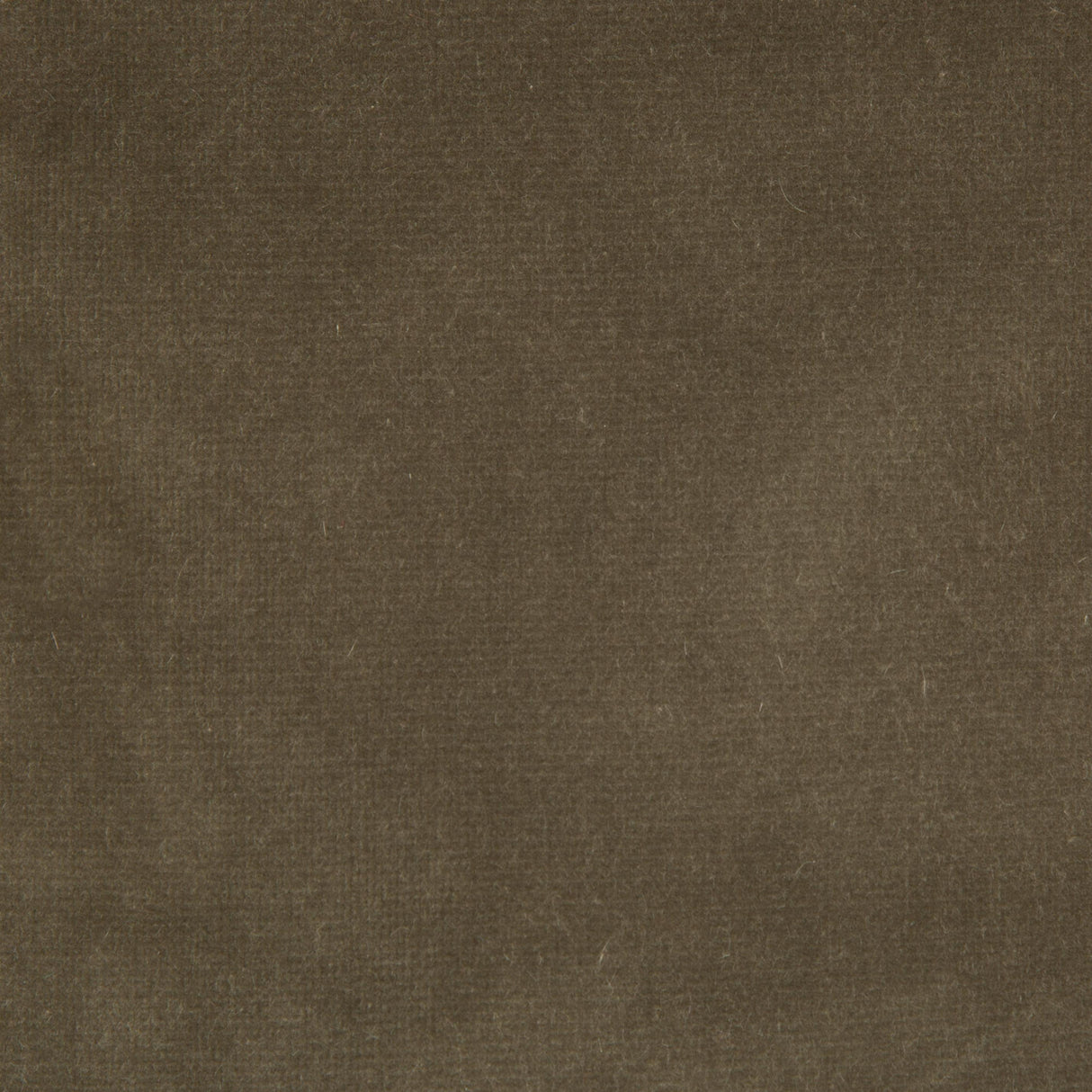 Kravet ENDURE SOURIS Upholstery Fabric