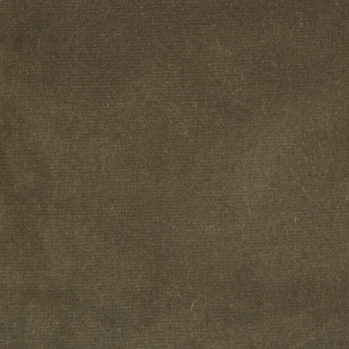 Kravet Endure Souris Fabric