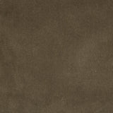 Kravet Endure Souris Fabric