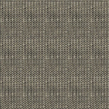 Kravet SEMI FORMAL TUXEDO Upholstery Fabric