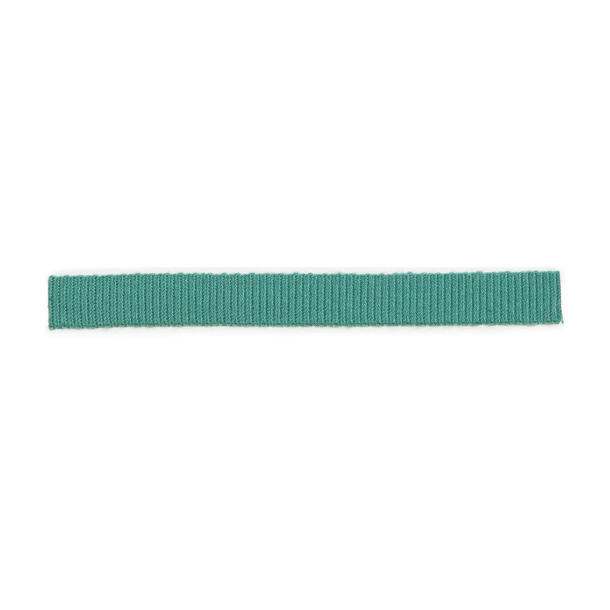 Lee Jofa MINI BORDER LAGOONA Trim