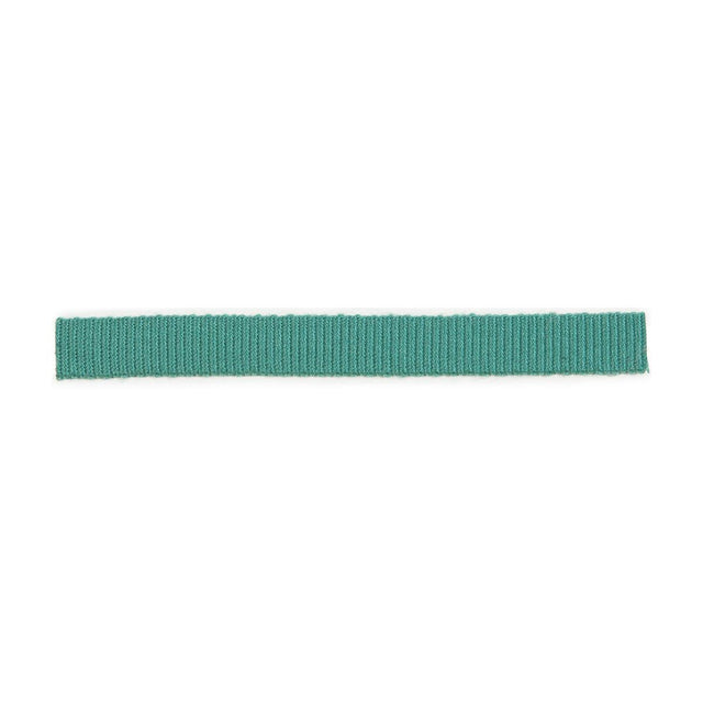 Lee Jofa MINI BORDER LAGOONA Trim