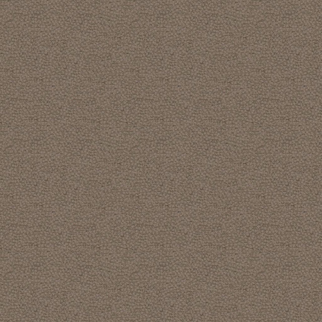 Kravet BEHOLD SHALE Upholstery Fabric